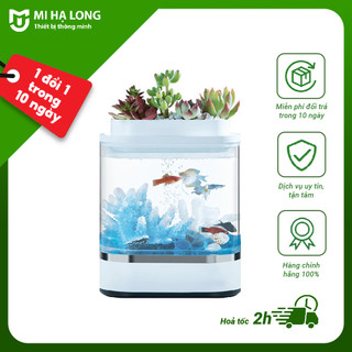Bể cá c300 mini pro