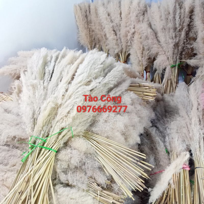 Combo 10 Bông Lau xù zie to decor trang trí