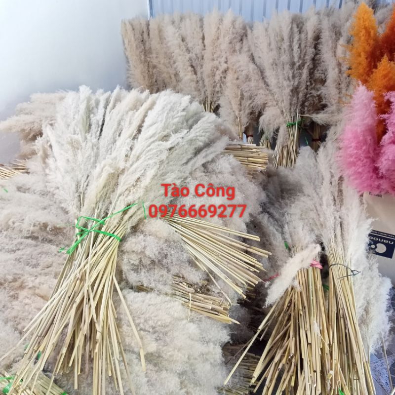 Combo 10 Bông Lau xù zie to decor trang trí