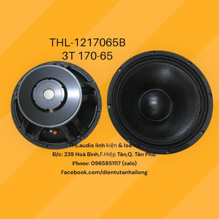 Bass 3 tấc từ 170 & 190 coil 65-75