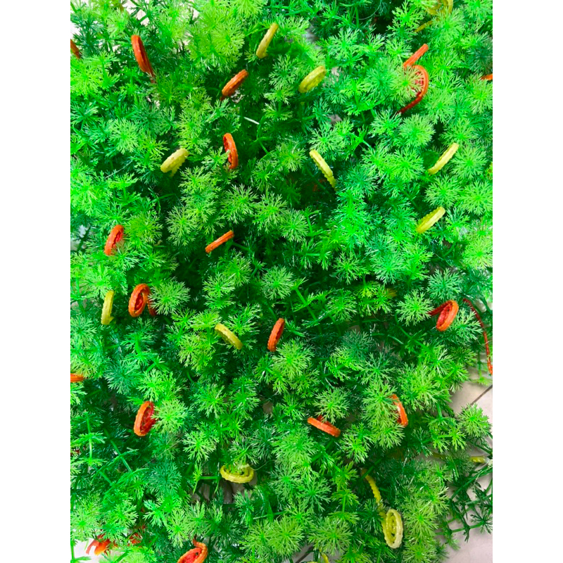 Cây hoa nhựa bé trang trí bể cá  cao cấp đồng giá 6k