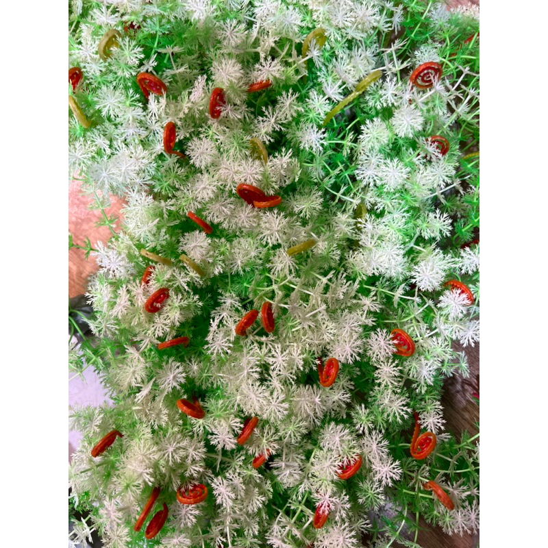 Cây hoa nhựa bé trang trí bể cá  cao cấp đồng giá 6k