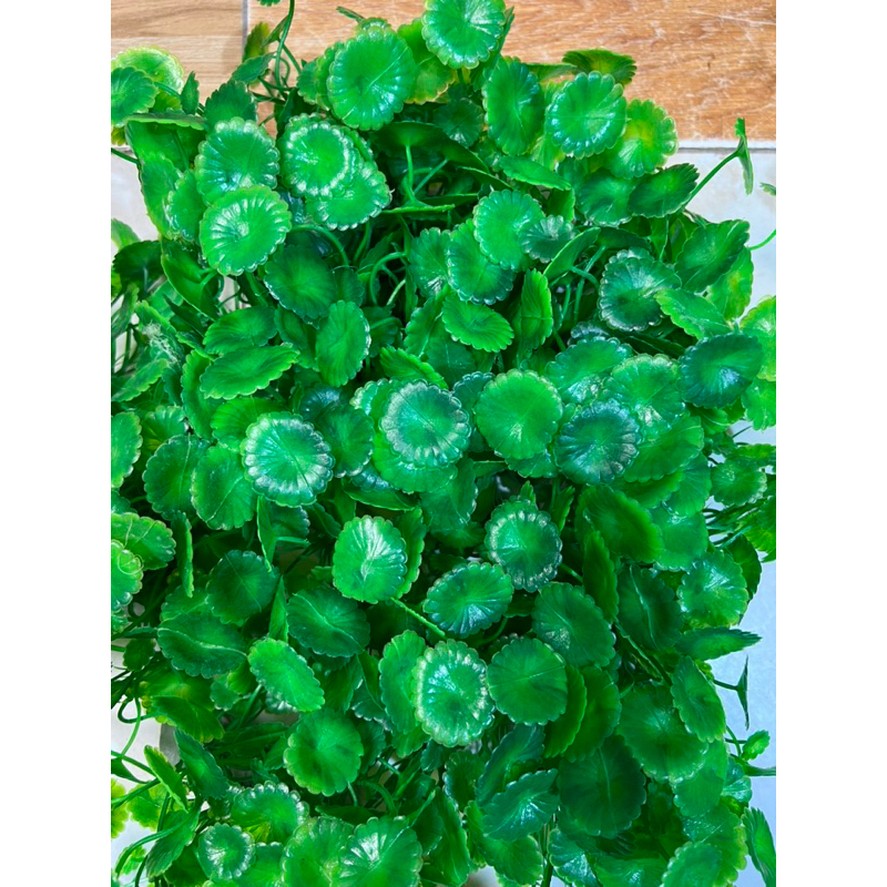 Cây hoa nhựa bé trang trí bể cá  cao cấp đồng giá 6k