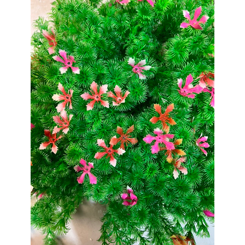 Cây hoa nhựa bé trang trí bể cá  cao cấp đồng giá 6k