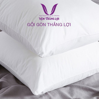 Ruột Gối Gòn Thắng Lợi kích thước 40x60,50x70,35x100 gối gòn ép hơi cao cấp 2023