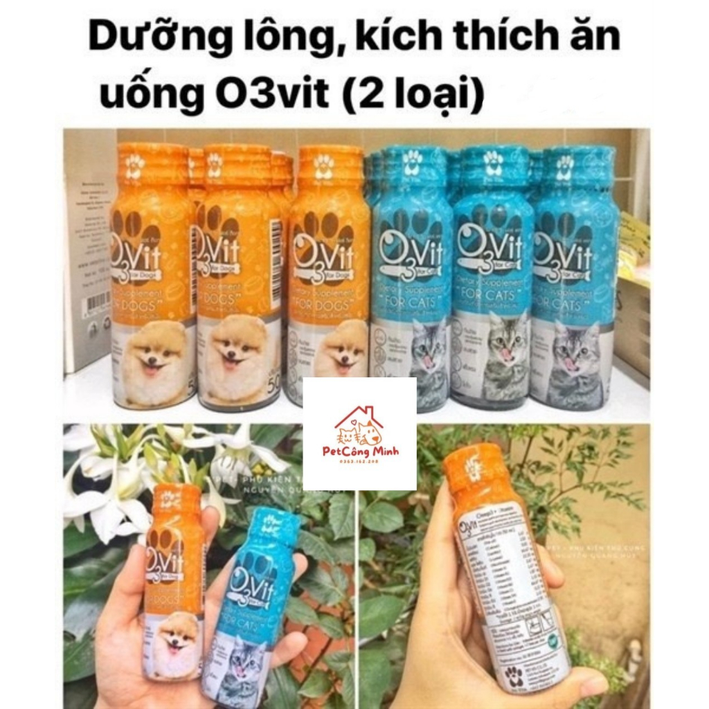 Lọ 50ml Siro O3Vit Ăn Ngon, Bổ Sung Dinh Dưỡng, Mượt Lông, Trị Biếng Ăn Cho Chó Mèo