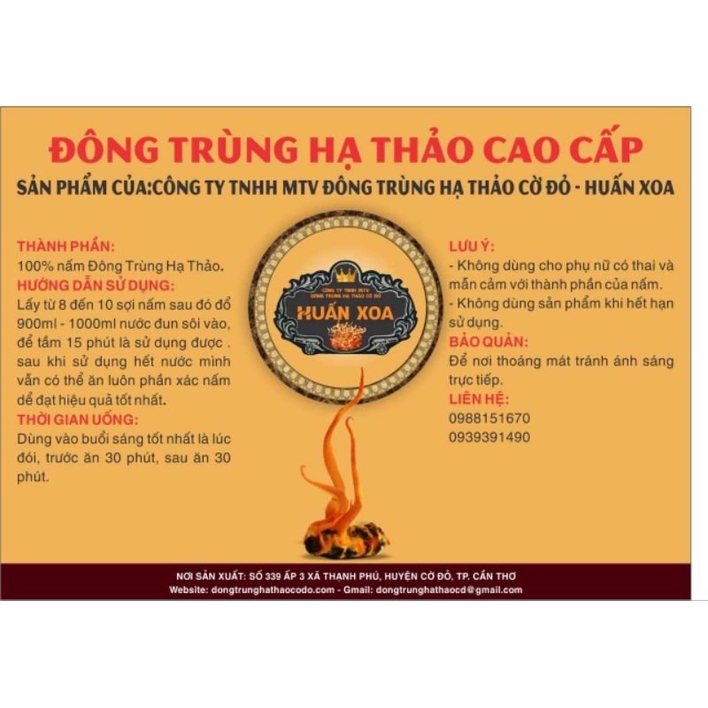 Đông trùng hạ thảo viên nang hộp 100 viên