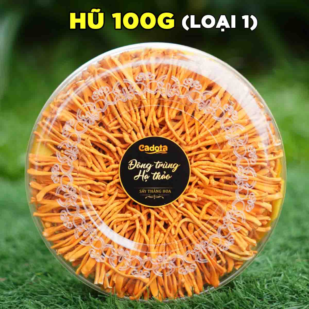 Đông Trùng Hạ Thảo Sấy Thăng Hoa CADOTA, Hũ 100g, Bán Lẻ Giá Sỉ Cho Đại Lý Nhập Thử Test Chất Lượng