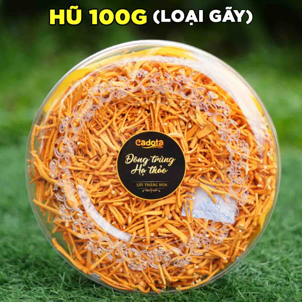 Đông Trùng Hạ Thảo Sấy Thăng Hoa CADOTA, Hũ 100g, Bán Lẻ Giá Sỉ Cho Đại Lý Nhập Thử Test Chất Lượng