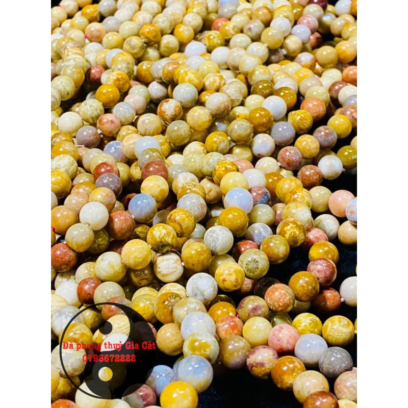 Vòng tay san hô hoá thạch đa sắc hàng chuẩn kiểm định đủ size