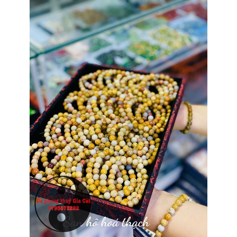 Vòng tay san hô hoá thạch đa sắc hàng chuẩn kiểm định đủ size