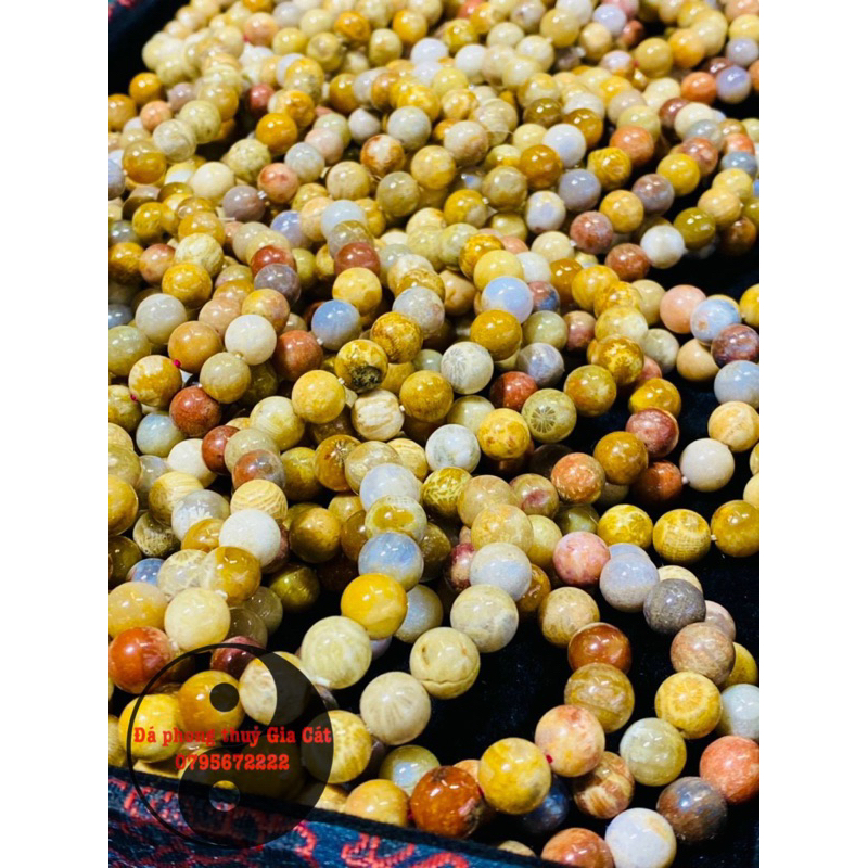 Vòng tay san hô hoá thạch đa sắc hàng chuẩn kiểm định đủ size