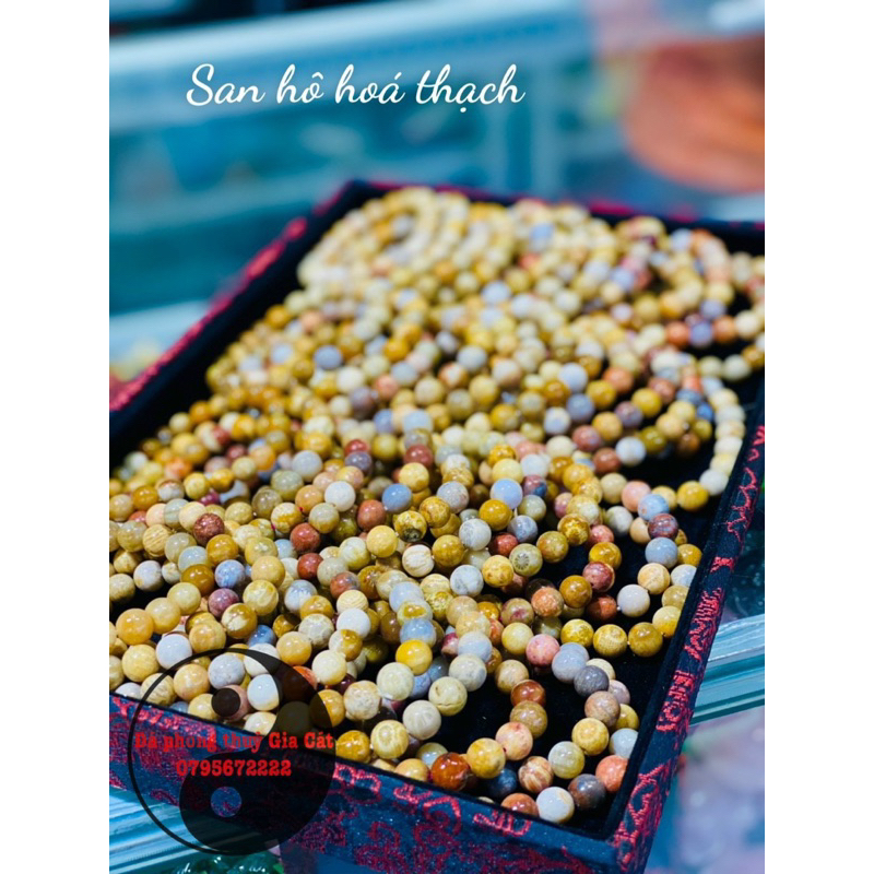 Vòng tay san hô hoá thạch đa sắc hàng chuẩn kiểm định đủ size