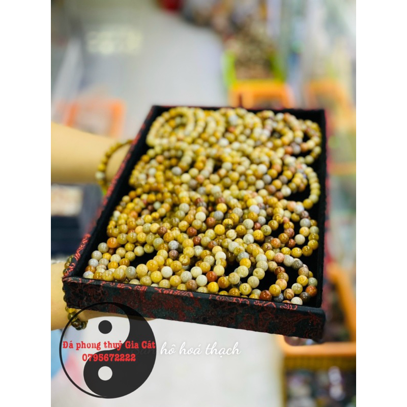 Vòng tay san hô hoá thạch đa sắc hàng chuẩn kiểm định đủ size