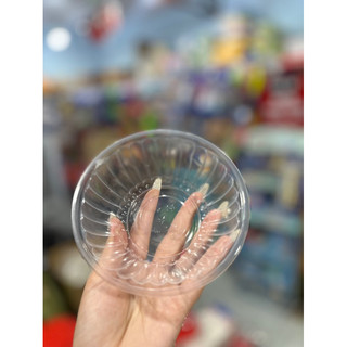 10 Cái Chén Cơm Nhựa Dùng 1 Lần