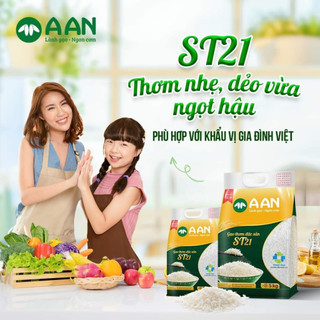 Gạo thơm st21 aan 10kg/2 túi- thơm hoa lài nhẹ, cơm đậm ngọt