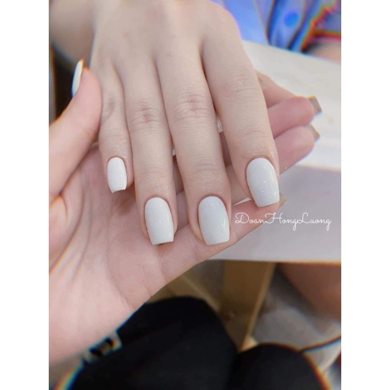 Sơn seeka 7 chai tông trắng kem+ có bảng màu đi kèm / sơn seeka tông trắng 15ml 1 chai