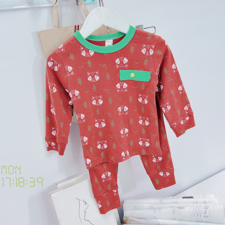 Bộ quần áo dài tay Cater Sài Gòn, vải cotton mềm mịn, co giãn thoải mái cho bé trai, bé gái BD41