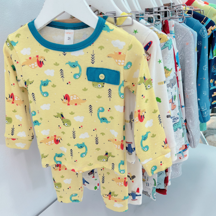 Bộ quần áo dài tay Cater Sài Gòn, vải cotton mềm mịn, co giãn thoải mái cho bé trai, bé gái BD41