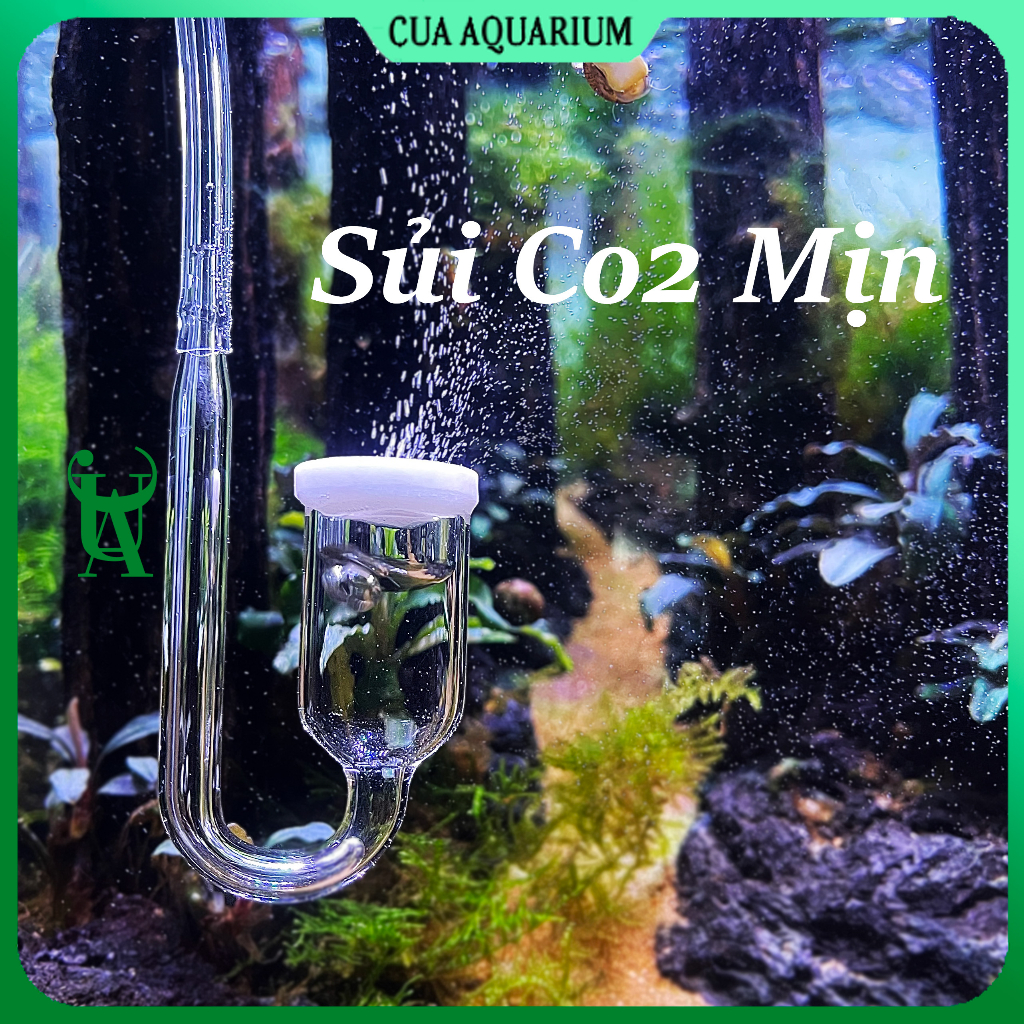 Sủi CO2 siêu mịn cho bể thuỷ sinh | Cốc sủi CO2 thủy tinh