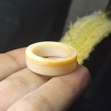 Nhẫn Bản trơn - vỏ xò hóa thạch-hàng tự nhiên