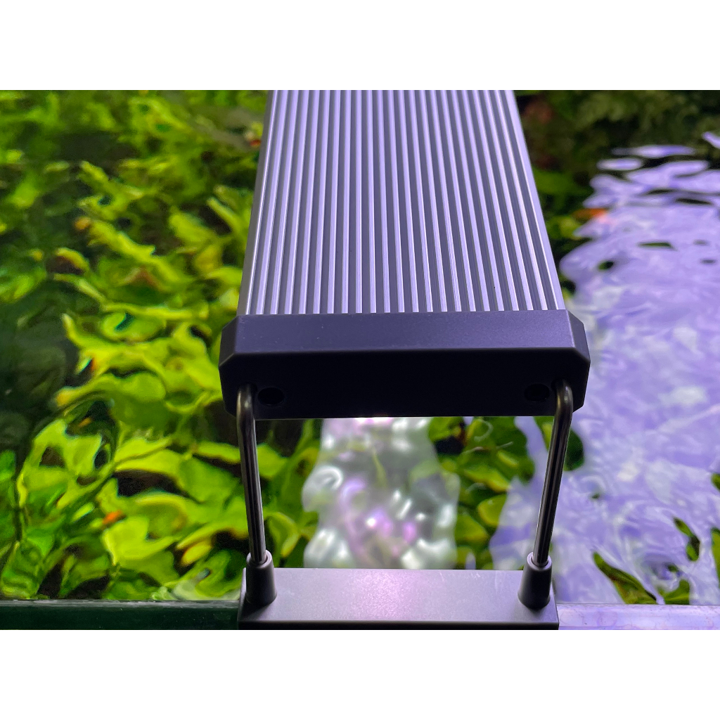 ĐÈN CHIHIROS B-SERIA B120