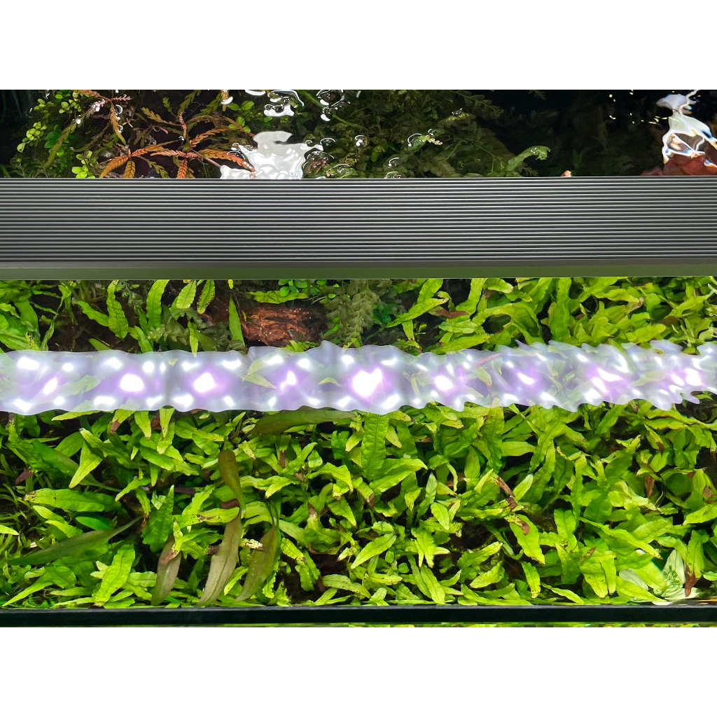 ĐÈN CHIHIROS B-SERIA B120