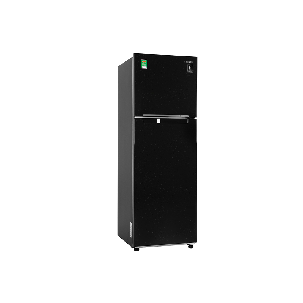 Tủ lạnh Samsung Inverter 256 lít RT25M4032BU/SV