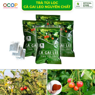 Combo trà túi lọc cà gai leo sadu giải độc gan thanh nhiệt cơ thể