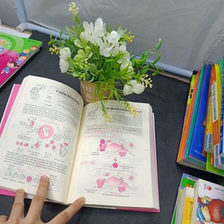 Sách - Triết học tự cổ chí kim