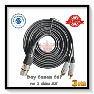 Dây canon cái ra 2 đầu av 3m - giá 1 sợi