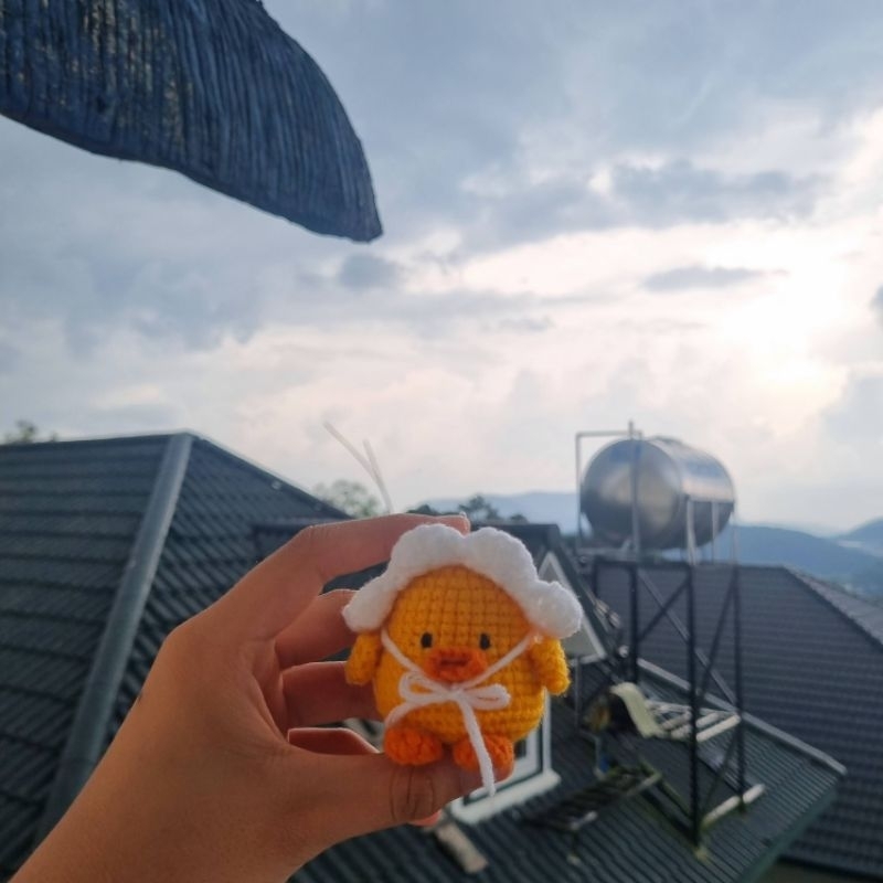 Móc khóa len vịt đội nón🐥