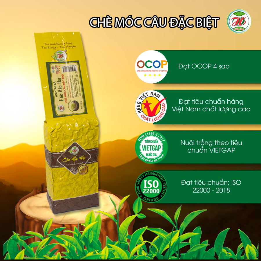 Chè MÓC CÂU ĐẶC BIỆT - TÂN CƯƠNG THÁI NGUYÊN Chè HẢO ĐẠT Trà búp móc câu khô xanh ngon sạch đạt chuẩn OCOP 5*