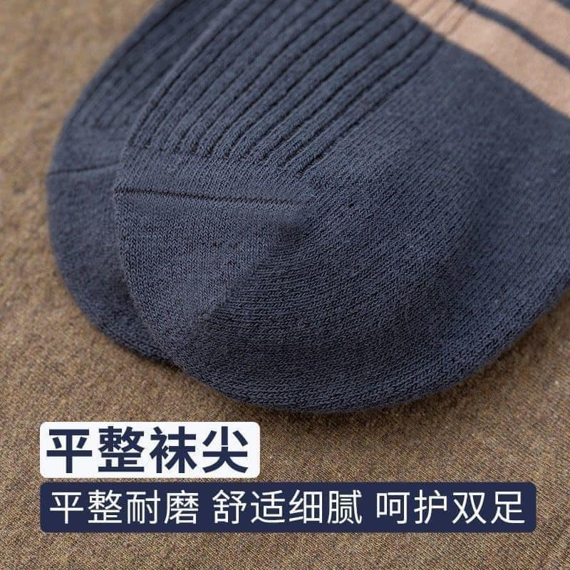 Tất vớ nam combo 10 đôi kẻ vạch chất thoáng khí khử mùi thấm hút mồ hôi xịn xò HCOM162