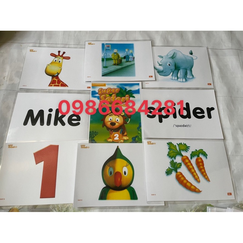 Flashcard Supper Safari 123 ép plastic