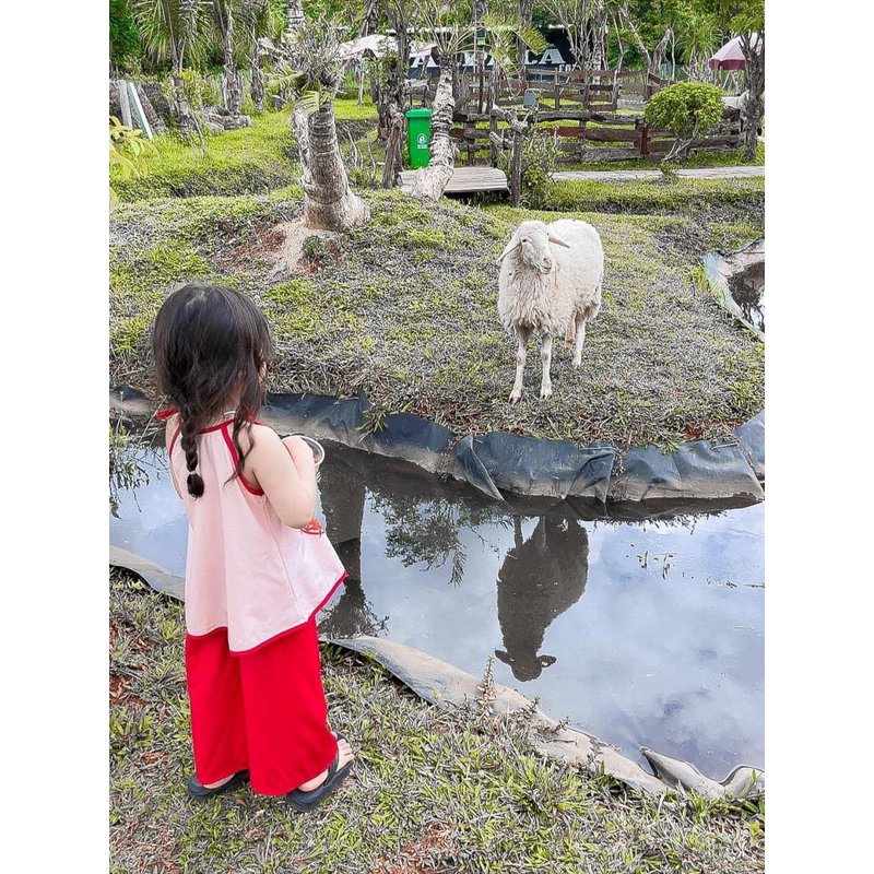 Set áo hoạ tiết kèm quần suông hoặc váy cho bé