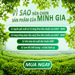 Combo 3 cao cà gai leo Minh Gia nguyên chất lọ 120g, hôc trợ ngăn ngừa U.T