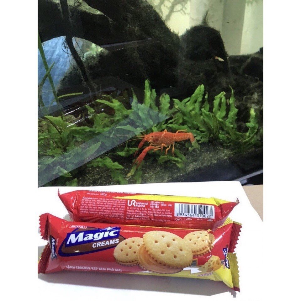 Bánh Cracker Kẹp Kem Phô Mai Magic Creams Cheese