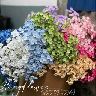 Hoa lưu ly giả cành hoa lưu ly giả decor siêu xinh