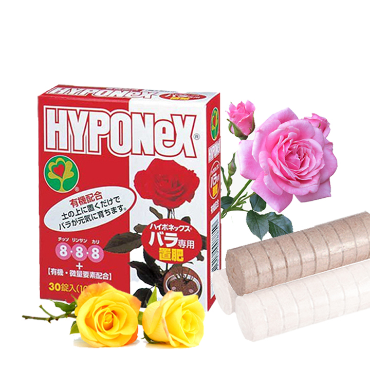 Phân Bón Cho Hoa Hồng - HYPONeX for Rose NPK 8-8-8 (Hộp 30 viên)