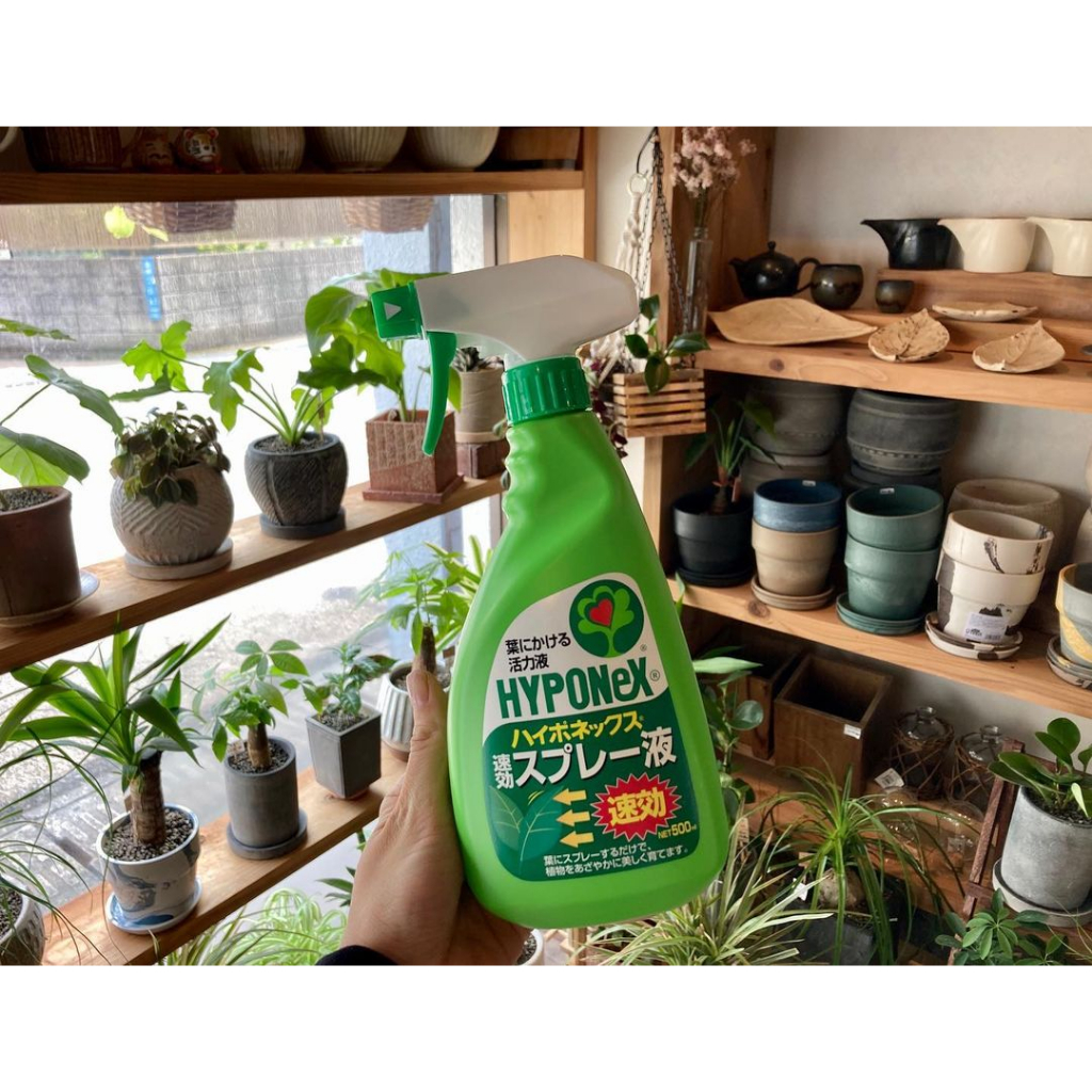 Phân Bón Lá Hyponex Spray 500ml