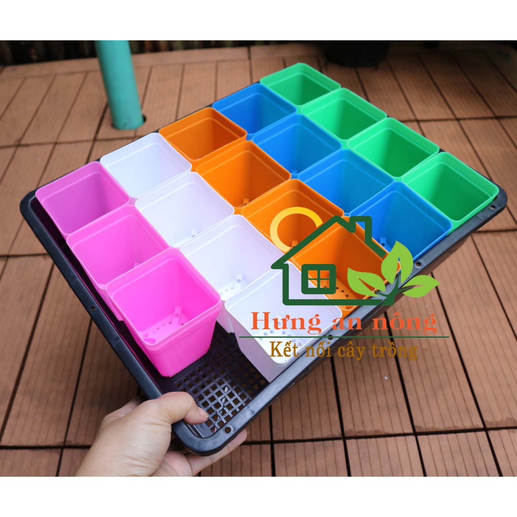 KC36L1 - Sét khay 36cm + 20 chậu vuông màu 7cm tiện trồng sen đá xương rồng