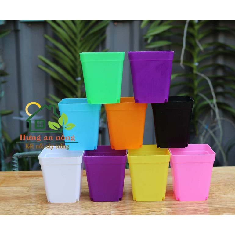 KC36L1 - Sét khay 36cm + 20 chậu vuông màu 7cm tiện trồng sen đá xương rồng