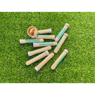 ☘Cỏ bạc hà cho mèo -cỏ catnip cho mèo dạng ống☘