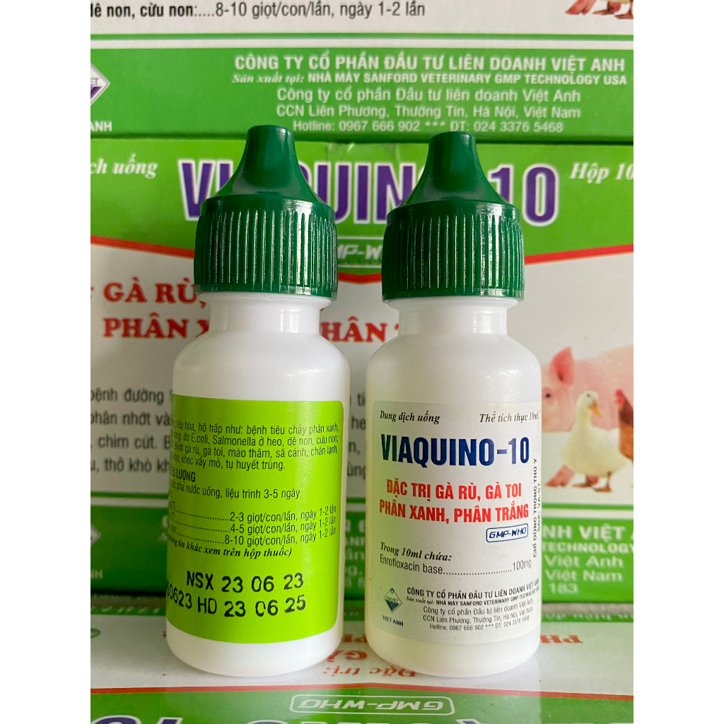 Viaquino 10  Gà rù, gà toi, phân xanh, phân trắng