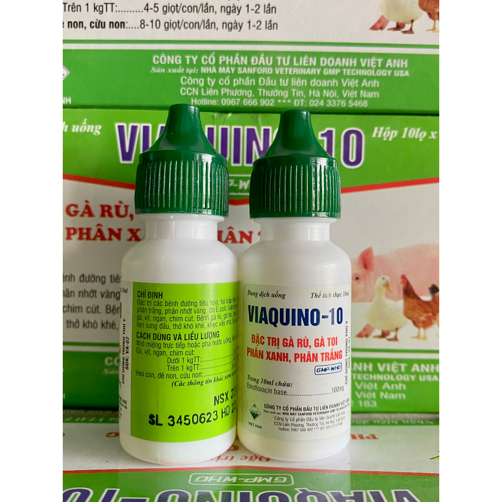 Viaquino 10  Gà rù, gà toi, phân xanh, phân trắng