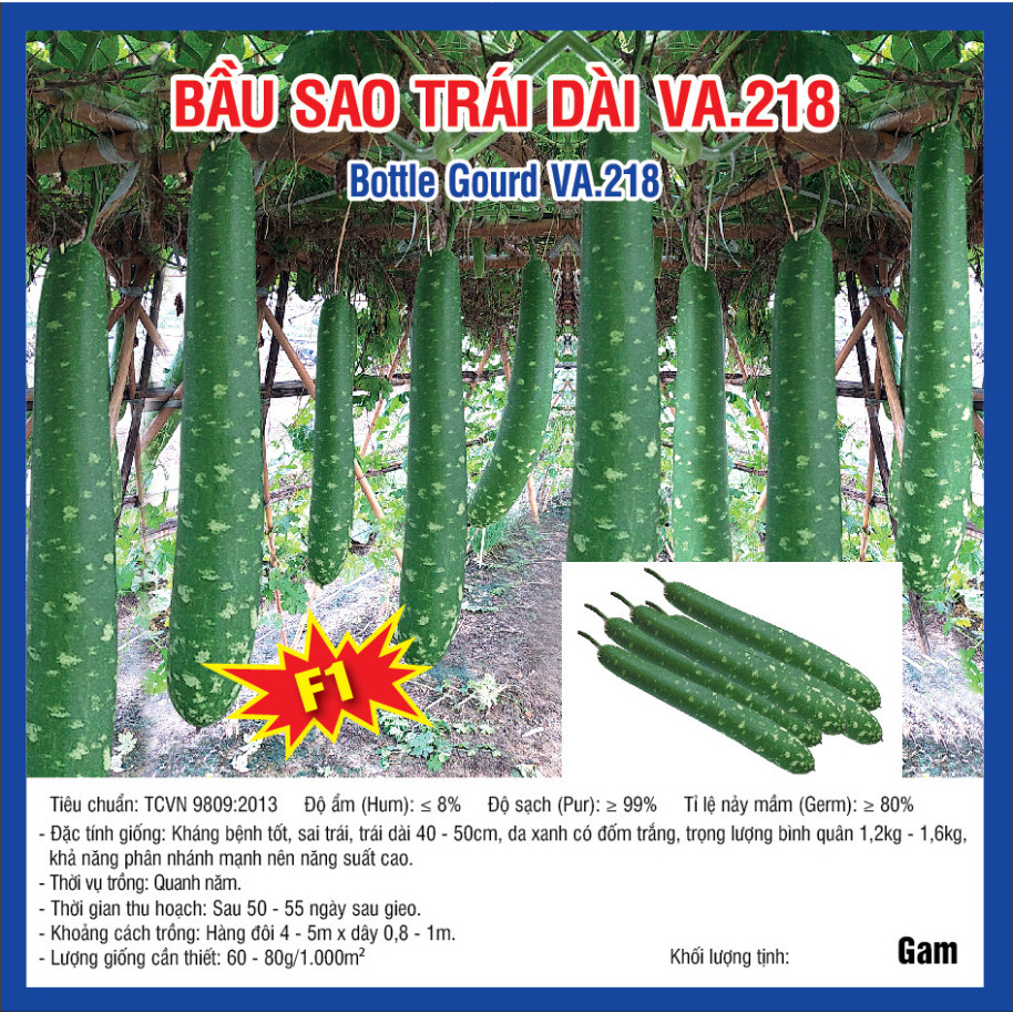 Hạt giống Bầu Sao F1 (VA.218) Trái Dài 10 hạt