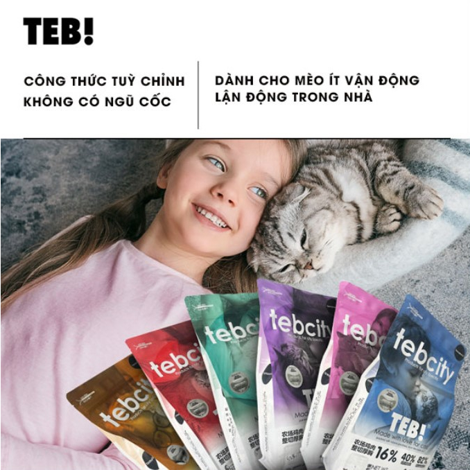 Hạt TEB City Cao Cấp Cho Mèo Mix Topping Thịt Sấy, Grain Free