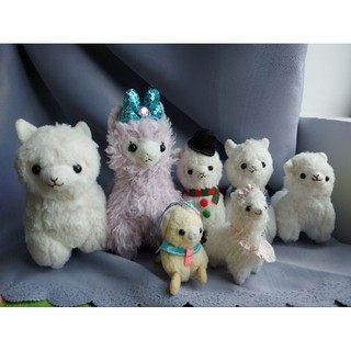 Gấu bông lạc đà không bướu Alpacasso