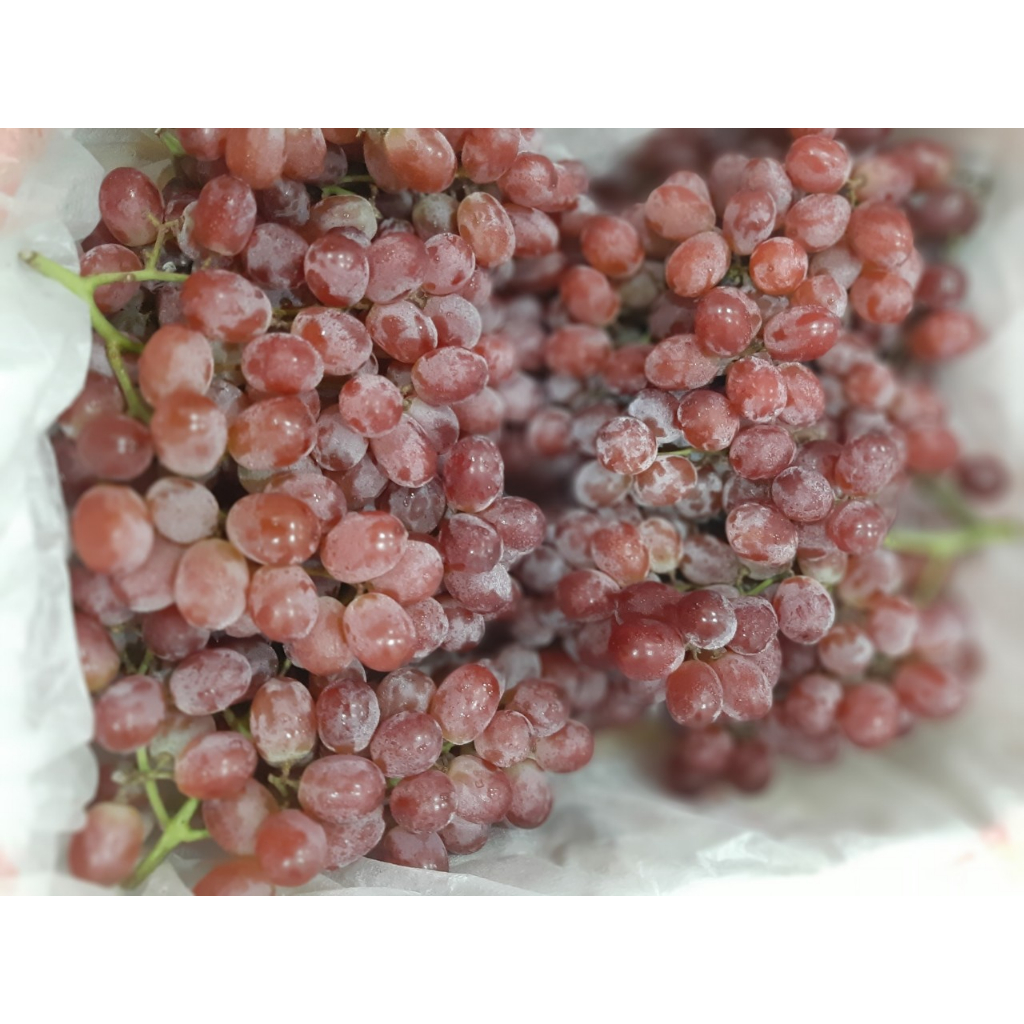 Nho đỏ không hạt nhập khẩu - 500gr
